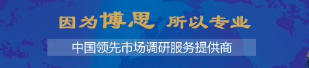 研究报告