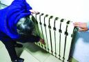 2016年长春市热企差评榜