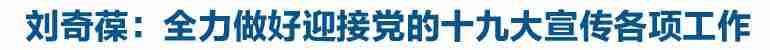 强调：全力做好迎接党的十九大宣传各项工作